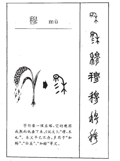 穆 五行|穆字五行属什么